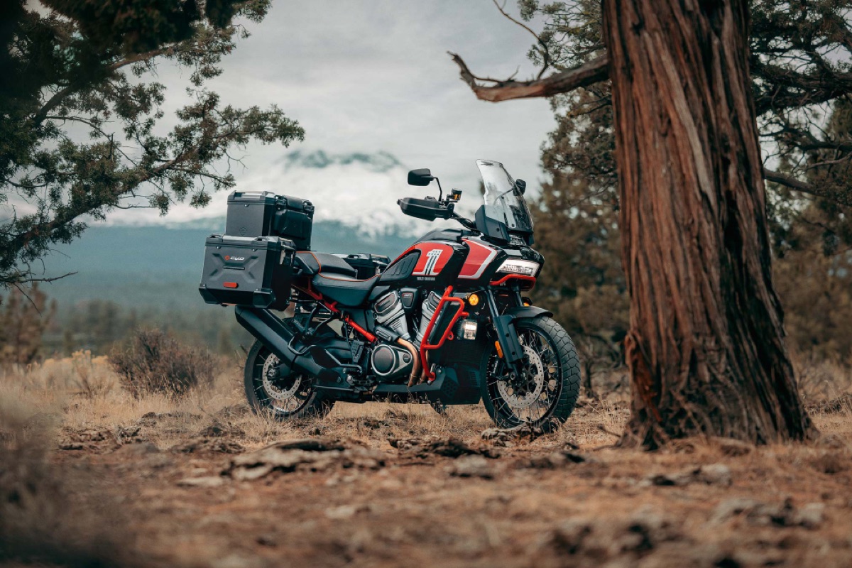 Adventure motorcycle by the pines