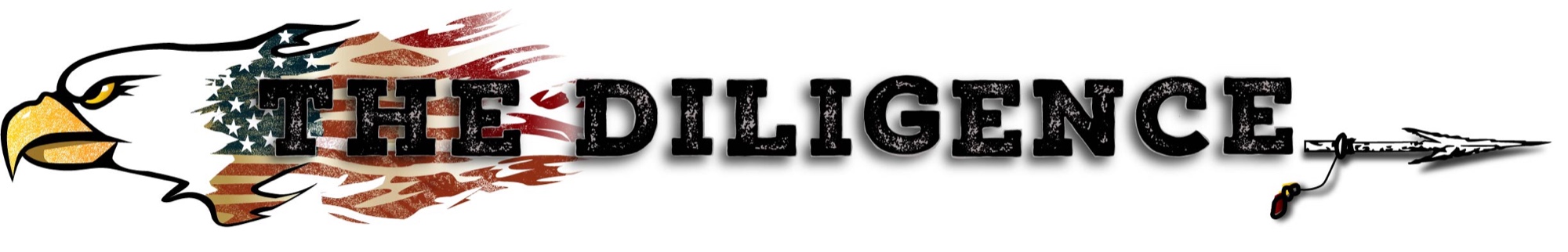 The Diligence